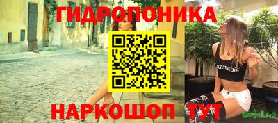 индика Краснокаменск
