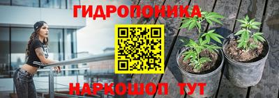 гидропоника Краснознаменск